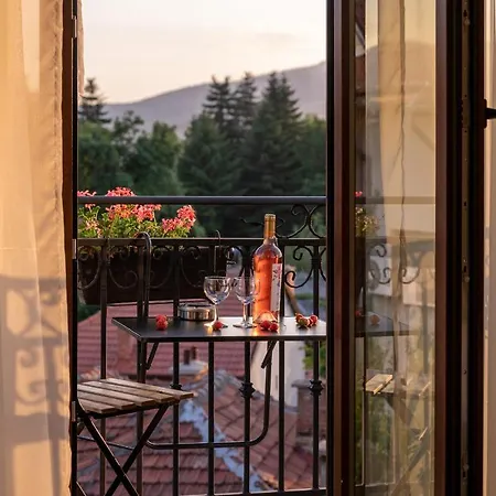 Family Konstantinovi Hotel 3*
